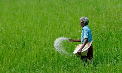 Telangana Assembly ने हर्बिसाइड पैराक्वाट पर प्रतिबंध लगाने के लिए प्रस्ताव पारित किया Telangana Assembly ने हर्बिसाइड पैराक्वाट पर प्रतिबंध लगाने के लिए प्रस्ताव पारित किया