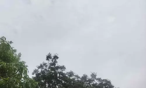 रायपुर में मौसम परिवर्तन, छाई बदली, हल्की बारिश के आसार