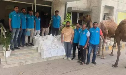 साउथ Delhi में अवैध शराब सप्लाई के लिए ऊंट का इस्तेमाल, 1 गिरफ्तार