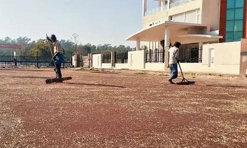 Chandigarh सरसों की खरीद में गड़बड़ी, किसानों ने प्राइवेट खरीदारों का रुख किया Chandigarh सरसों की खरीद में गड़बड़ी, किसानों ने प्राइवेट खरीदारों का रुख किया