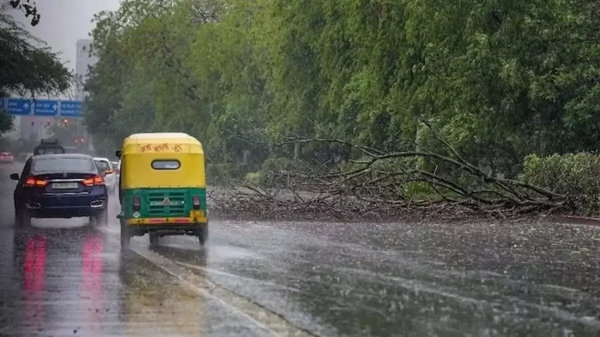 Northeast में भारी बारिश, दिल्ली, यूपी में आंधी-तूफान और ओले गिरने की संभावना Northeast में भारी बारिश, दिल्ली, यूपी में आंधी-तूफान और ओले गिरने की संभावना