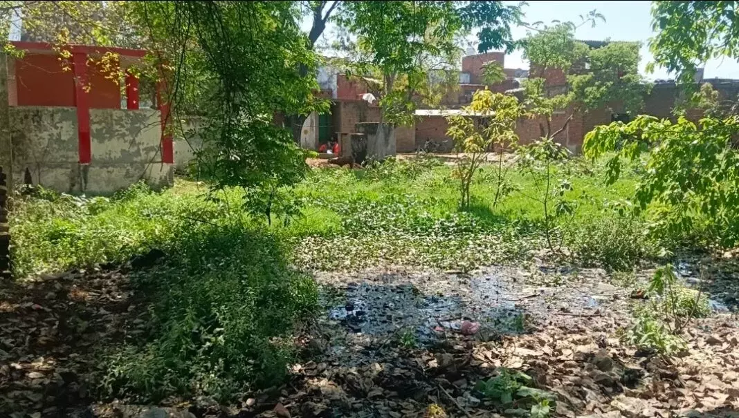 Farrukhabad: गंदे पानी में फैल रही संक्रमण की आशंका Farrukhabad: गंदे पानी में फैल रही संक्रमण की आशंका