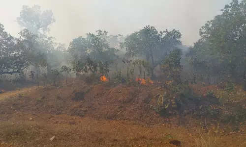 ओडिशा सरकार जंगल की आग बुझाने के लिए AI का इस्तेमाल कर रही है: Minister ओडिशा सरकार जंगल की आग बुझाने के लिए AI का इस्तेमाल कर रही है: Minister