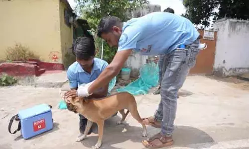 Bhubaneswar बीएमसी ने एंटी-रेबीज अभियान शुरू किया