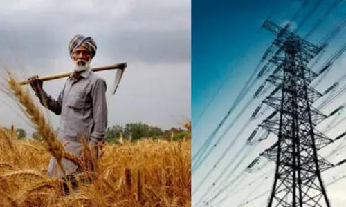 Jaipur: दिन में बिजली मिलने से बढ़ेगी कृषि गतिविधि Jaipur: दिन में बिजली मिलने से बढ़ेगी कृषि गतिविधि