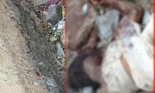 उरला में महिला की बेरहमी से हत्या, सिर और चेहरे पर गंभीर चोट उरला में महिला की बेरहमी से हत्या, सिर और चेहरे पर गंभीर चोट