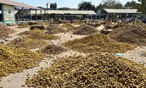 Nizamabad मार्केट यार्ड में बेमौसम बारिश से हल्दी की फसल खराब Nizamabad मार्केट यार्ड में बेमौसम बारिश से हल्दी की फसल खराब