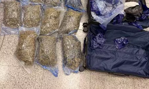 एयरपोर्ट पर DRI-कस्टम्स की बड़ी कार्रवाई, 8.9 करोड़ की हाइड्रोपोनिक वीड जब्त
