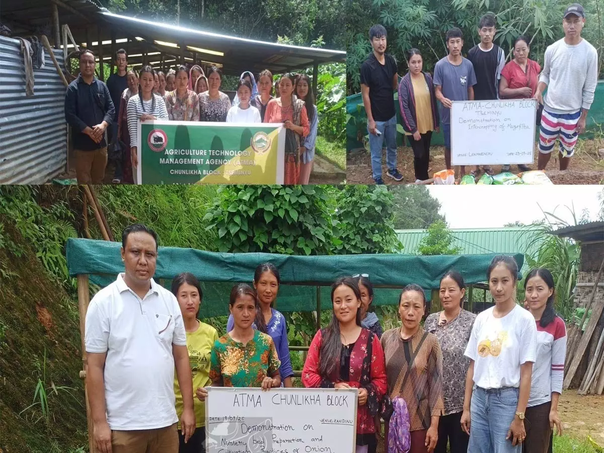 Nagaland: चुनलिखा में ब्लॉक लेवल ट्रेनिंग हुई Nagaland: चुनलिखा में ब्लॉक लेवल ट्रेनिंग हुई