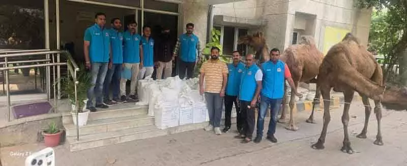 साउथ Delhi में अवैध शराब सप्लाई के लिए ऊंट का इस्तेमाल, 1 गिरफ्तार साउथ Delhi में अवैध शराब सप्लाई के लिए ऊंट का इस्तेमाल, 1 गिरफ्तार