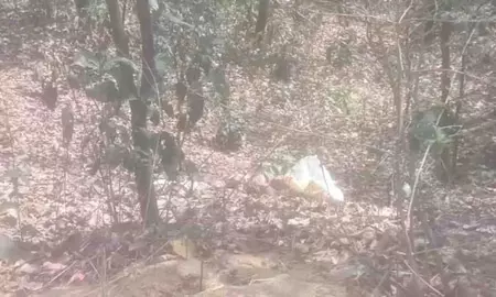 घाटी में बोरे में बंद मिला महिला का अर्धनग्न शव, मौके पर भारी भीड़ जमा हुई घाटी में बोरे में बंद मिला महिला का अर्धनग्न शव, मौके पर भारी भीड़ जमा हुई