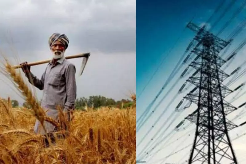 Jaipur: दिन में बिजली मिलने से बढ़ेगी कृषि गतिविधि Jaipur: दिन में बिजली मिलने से बढ़ेगी कृषि गतिविधि