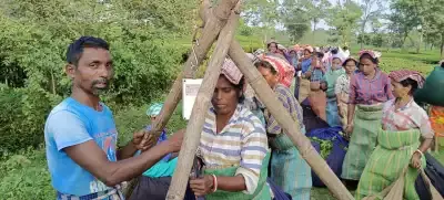 Assam’s का चाय उद्योग एक चौराहे पर: वेतन को केंद्र में क्यों रखा जाना चाहिए Assam’s का चाय उद्योग एक चौराहे पर: वेतन को केंद्र में क्यों रखा जाना चाहिए