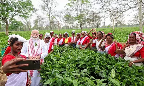 Assam : प्रधानमंत्री मोदी ने चाय बागान में समय बिताया-तस्वीरें