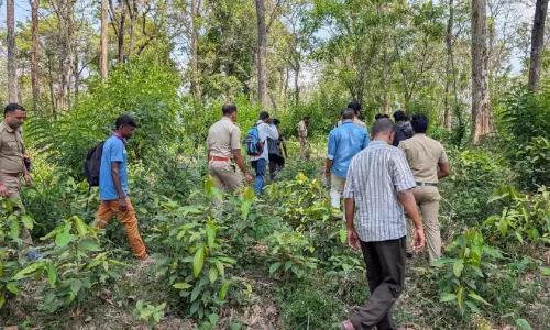 Kerala : भांग के बागानों का पता लगाने के लिए जॉइंट इंस्पेक्शन Kerala : भांग के बागानों का पता लगाने के लिए जॉइंट इंस्पेक्शन