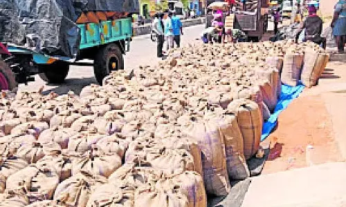 Karnataka : बाजरा खरीद की अवधि 30 तक बढ़ाई गई Karnataka : बाजरा खरीद की अवधि 30 तक बढ़ाई गई