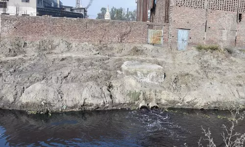 Ludhiana में ताजपुर रोड के पास खेतों में संदिग्ध डाइंग इंडस्ट्री का कचरा मिला Ludhiana में ताजपुर रोड के पास खेतों में संदिग्ध डाइंग इंडस्ट्री का कचरा मिला