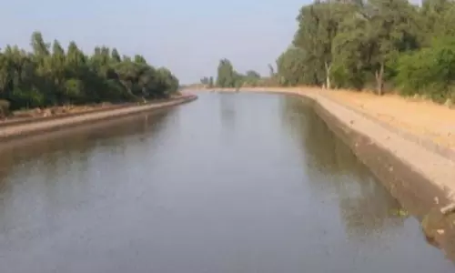 Junnar: कुकड़ी काना में नवविवाहित जोड़ा मृत पाया गया Junnar: कुकड़ी काना में नवविवाहित जोड़ा मृत पाया गया