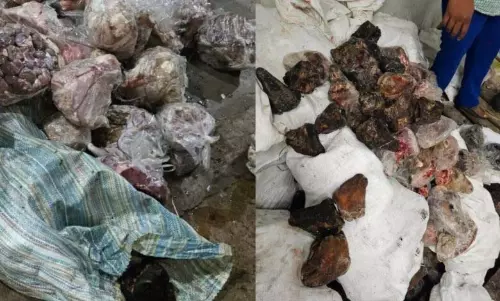 Hyderabad में 14 टन सड़ा हुआ मांस जब्त, एक गिरफ्तार Hyderabad में 14 टन सड़ा हुआ मांस जब्त, एक गिरफ्तार