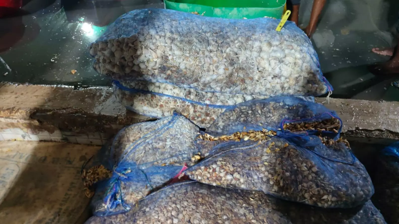 Hyderabad: 22 लाख रुपये के मिलावटी अदरक-लहसुन पेस्ट के साथ एक व्यक्ति गिरफ्तार Hyderabad: 22 लाख रुपये के मिलावटी अदरक-लहसुन पेस्ट के साथ एक व्यक्ति गिरफ्तार