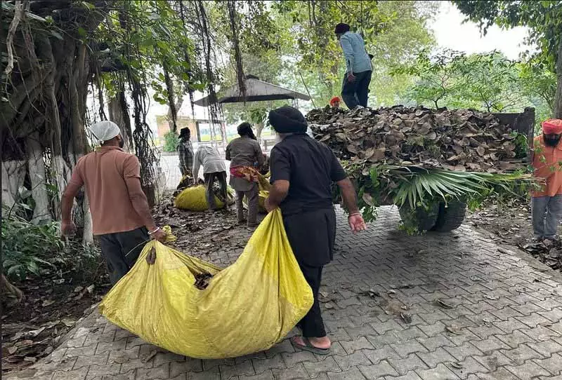 Punjab: 40 गांवों की संगत ने पवित्र काली बेईं की सफाई के लिए कार सेवा शुरू की Punjab: 40 गांवों की संगत ने पवित्र काली बेईं की सफाई के लिए कार सेवा शुरू की