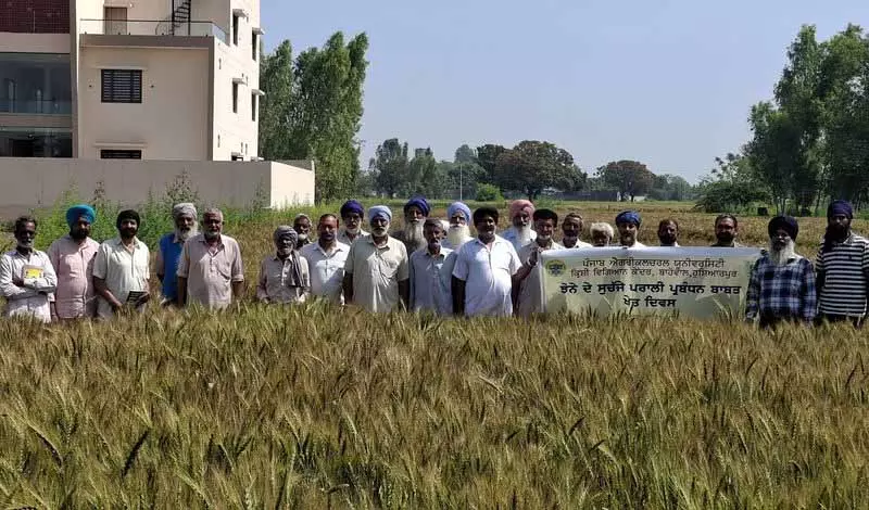 कृषि विज्ञान केंद्र ने Rasulpur में गेहूं की सतह पर बुवाई पर फील्ड डे का आयोजन किया कृषि विज्ञान केंद्र ने Rasulpur में गेहूं की सतह पर बुवाई पर फील्ड डे का आयोजन किया