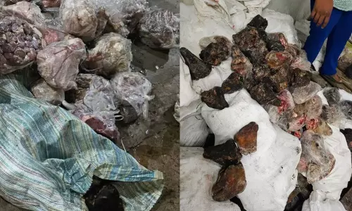 Hyderabad में 14 टन सड़ा हुआ मांस जब्त, एक गिरफ्तार Hyderabad में 14 टन सड़ा हुआ मांस जब्त, एक गिरफ्तार