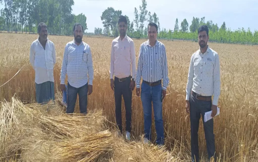 Shahjahanpur: गेहूं उत्पादकता की जांच के लिए खेत दौरा Shahjahanpur: गेहूं उत्पादकता की जांच के लिए खेत दौरा