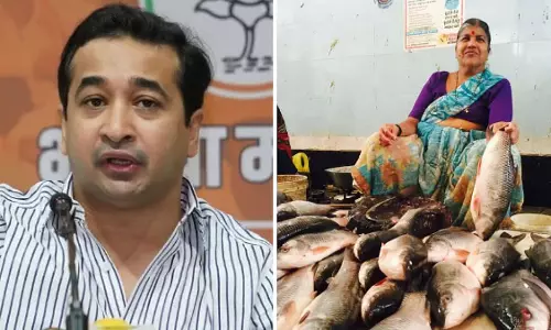Maharashtra : ₹7,343 करोड़ के साथ मछली एक्सपोर्ट में दूसरा स्थान हासिल किया Maharashtra : ₹7,343 करोड़ के साथ मछली एक्सपोर्ट में दूसरा स्थान हासिल किया