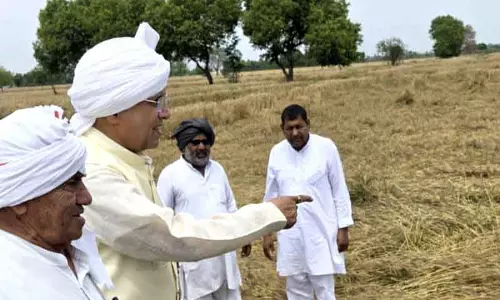 Rohtak फसल नुकसान: पूर्व मंत्री हुड्डा, किसान सभा ने परेशान किसानों के लिए राहत मांगी Rohtak फसल नुकसान: पूर्व मंत्री हुड्डा, किसान सभा ने परेशान किसानों के लिए राहत मांगी