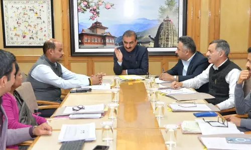 Shimla: हिमाचल में करुणामूलक नौकरी मामलों की स्थिति: 712 लंबित, 95 खारिज