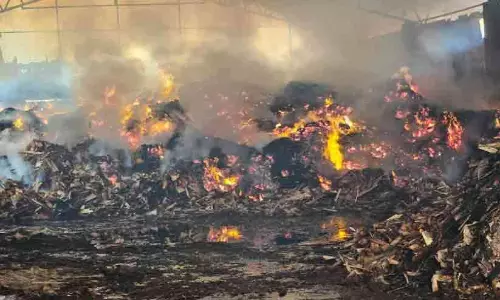 Kerala : पप्पिनिसेरी में फिर लगी आग, टिम्बर कंपनी जलकर खाक Kerala : पप्पिनिसेरी में फिर लगी आग, टिम्बर कंपनी जलकर खाक