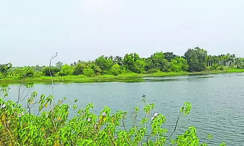 Shikaripura : मछुआरों ने मछली पकड़ने की नीलामी का विरोध किया Shikaripura : मछुआरों ने मछली पकड़ने की नीलामी का विरोध किया