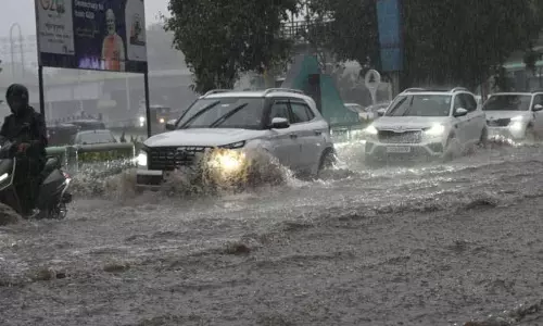 बेमौसम बारिश से Sinhagad Road पर पेड़ गिरने से फूल बेचने वाले की मौत बेमौसम बारिश से Sinhagad Road पर पेड़ गिरने से फूल बेचने वाले की मौत