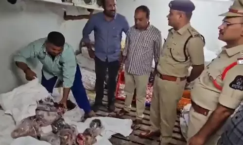 Hyderabad में बड़ा एक्शन: दरगाह के पास दुकान से 12 टन सड़ा मांस ज़ब्त, आरोपी मालिक फ़रार Hyderabad में बड़ा एक्शन: दरगाह के पास दुकान से 12 टन सड़ा मांस ज़ब्त, आरोपी मालिक फ़रार