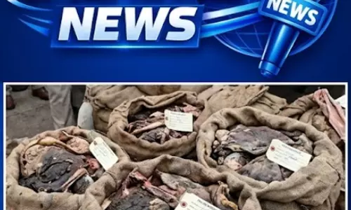 Food Safety: पुलिस की बड़ी कार्रवाई, 12 टन बासी मांस जब्त Food Safety: पुलिस की बड़ी कार्रवाई, 12 टन बासी मांस जब्त