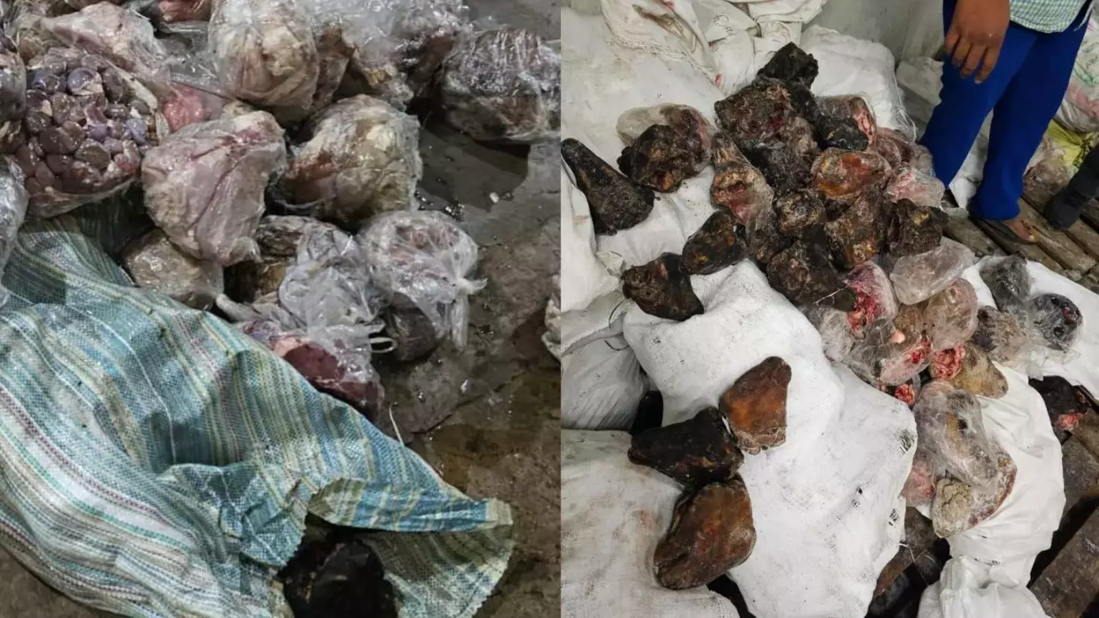 Hyderabad में 14 टन सड़ा हुआ मांस जब्त, एक गिरफ्तार Hyderabad में 14 टन सड़ा हुआ मांस जब्त, एक गिरफ्तार