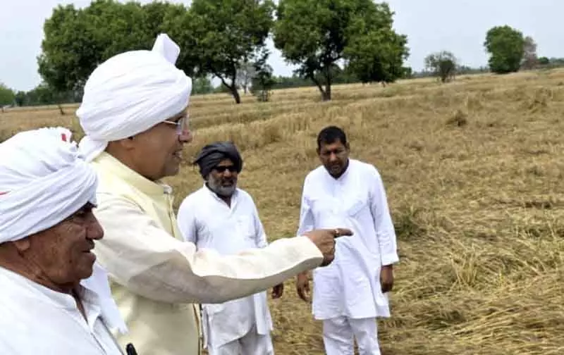 Rohtak फसल नुकसान: पूर्व मंत्री हुड्डा, किसान सभा ने परेशान किसानों के लिए राहत मांगी Rohtak फसल नुकसान: पूर्व मंत्री हुड्डा, किसान सभा ने परेशान किसानों के लिए राहत मांगी