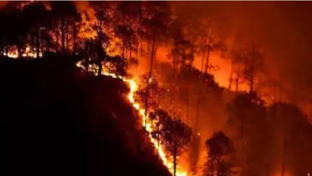 Odisha के जंगल में आग: 130 से ज़्यादा जगहों पर जंगल में आग लगी, कंट्रोल रूम एक्टिवेट किया गया Odisha के जंगल में आग: 130 से ज़्यादा जगहों पर जंगल में आग लगी, कंट्रोल रूम एक्टिवेट किया गया