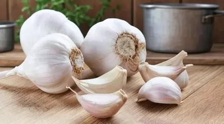 स्वाद ही नहीं सेहत के लिए लाजवाब है लहसुन, आयुर्वेद के जानिए फायदे स्वाद ही नहीं सेहत के लिए लाजवाब है लहसुन, आयुर्वेद के जानिए फायदे