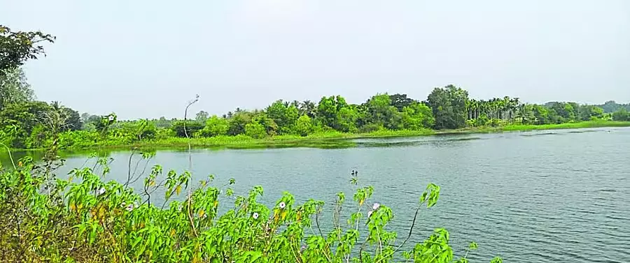 Shikaripura : मछुआरों ने मछली पकड़ने की नीलामी का विरोध किया Shikaripura : मछुआरों ने मछली पकड़ने की नीलामी का विरोध किया