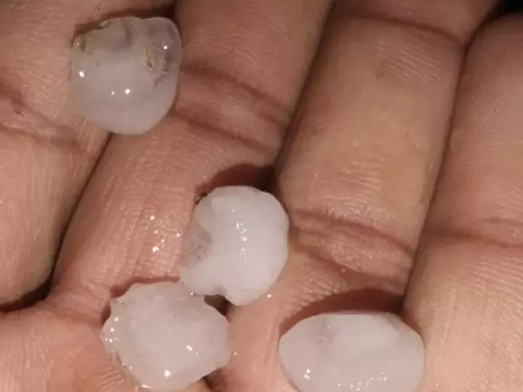 Jaipur: पश्चिम विक्षोभ के प्रभाव से मौसम बदला, श्रीगंगानगर में ओले पड़े Jaipur: पश्चिम विक्षोभ के प्रभाव से मौसम बदला, श्रीगंगानगर में ओले पड़े