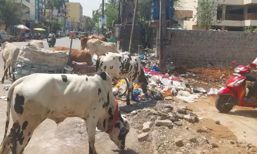 Hyderabad: संतोष नगर में कचरे के बड़े ढेर से स्वास्थ्य संबंधी चिंताएं बढ़ीं