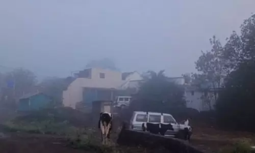 नासिक के सिन्नर में बदला मौसम का मिजाज, गर्मी की जगह बारिश और कोहरा नासिक के सिन्नर में बदला मौसम का मिजाज, गर्मी की जगह बारिश और कोहरा