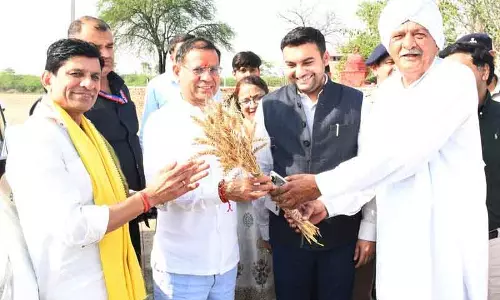 Haryana फसल खरीद: किसानों को समय पर भुगतान के लिए निर्देश Haryana फसल खरीद: किसानों को समय पर भुगतान के लिए निर्देश