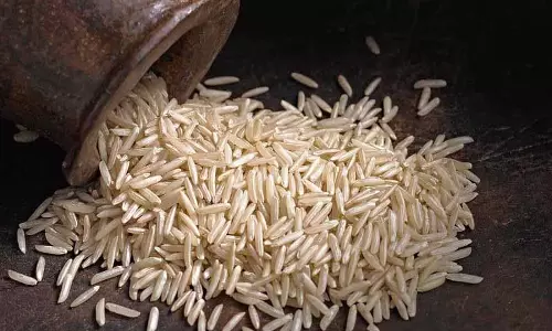 Punjab के बासमती चावल की आपूर्ति ठहराई, सांसद ने जताई चिंता Punjab के बासमती चावल की आपूर्ति ठहराई, सांसद ने जताई चिंता