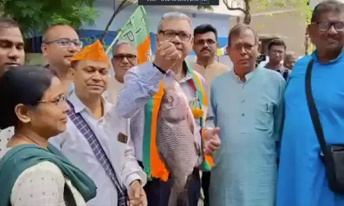 BJP ने बंगाल में मछली को अपनाया, टीएमसी की पहचान की ताकत को किया उजागर