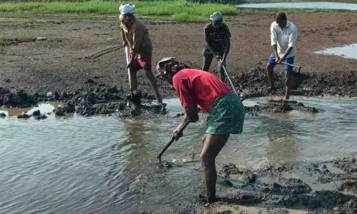 Kerala : कोल क्षेत्र में पानी की कमी, किसान परेशान Kerala : कोल क्षेत्र में पानी की कमी, किसान परेशान