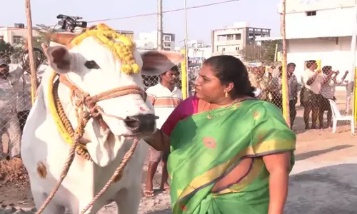 शब्दों से परे एक बंधन: Shrilakshmi का अपने बैलों के प्रति असाधारण प्रेम