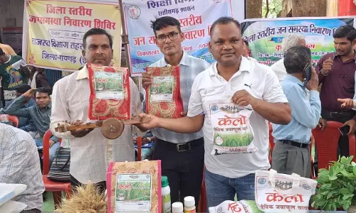 लैलूंगा की पहचान बना केलो जैविक जंवाफूल चावल लैलूंगा की पहचान बना केलो जैविक जंवाफूल चावल